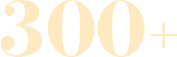 300+ copy